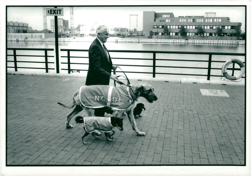 National canine defence league. - Vintage Photograph