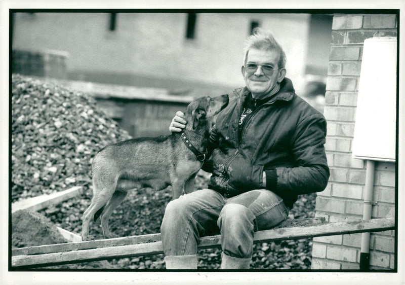 Mongrel and six pups survive two weeks under a house under construction. - Vintage Photograph