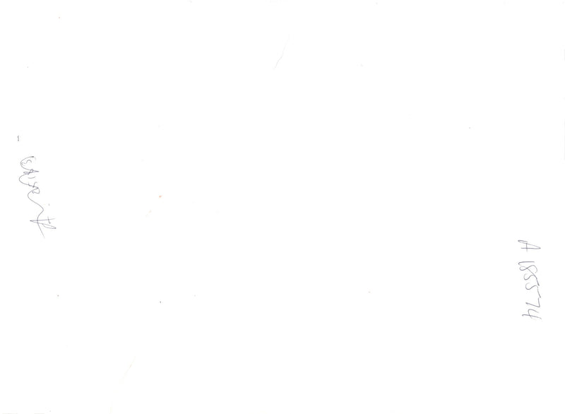 Dog with genghi. - Vintage Photograph