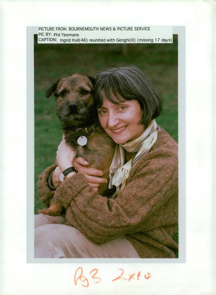 Dog with genghi. - Vintage Photograph