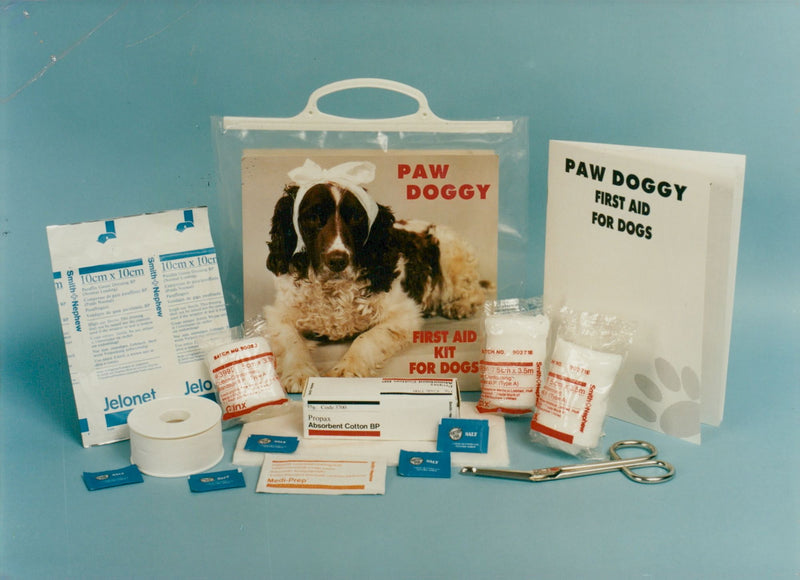 Dog,Pau doqqy kit. - Vintage Photograph