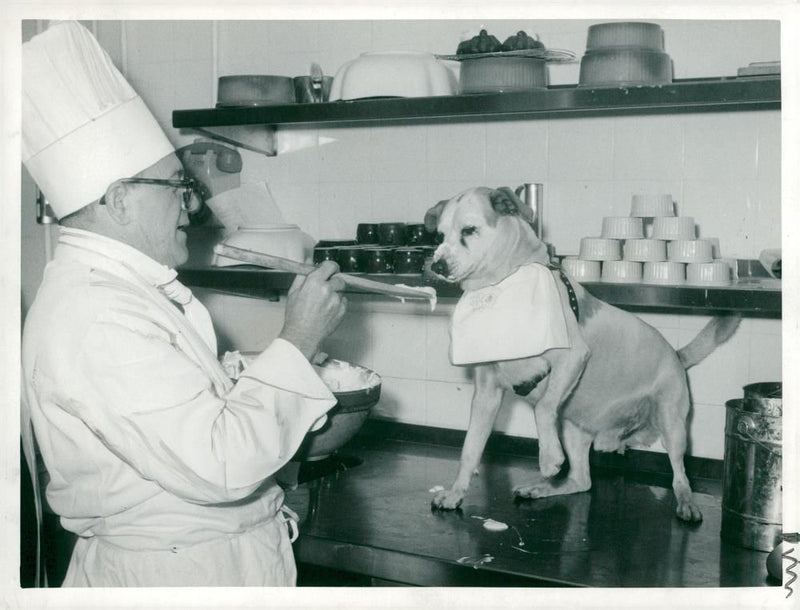 Popol mange ici a mark of distinction in the first arrondissement. - Vintage Photograph