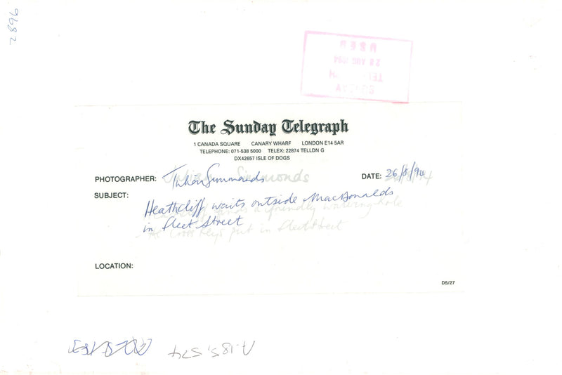 Dog. - Vintage Photograph