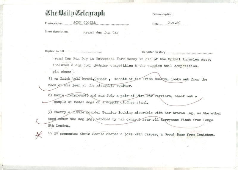 Grand dog fun day in battersea park. - Vintage Photograph