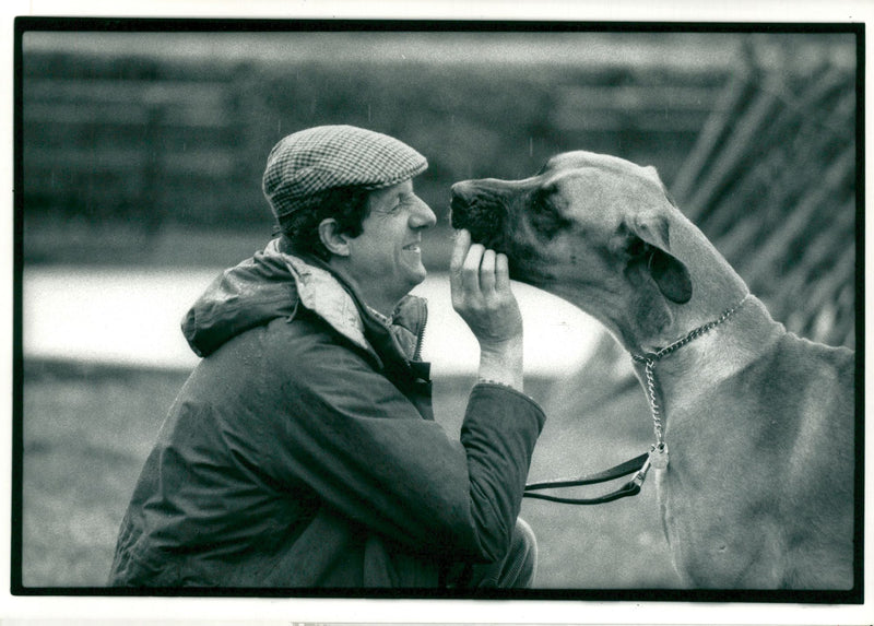 Grand dog fun day in battersea park. - Vintage Photograph