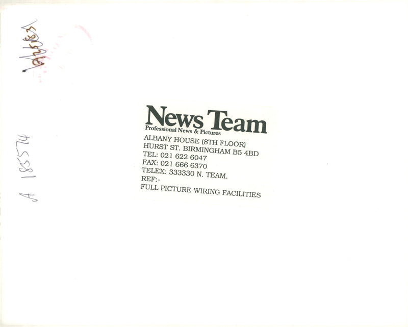 Dog. - Vintage Photograph