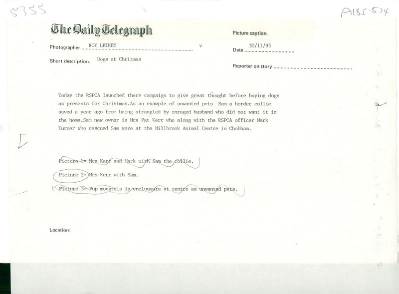 Dog,Mrs kerr with sam. - Vintage Photograph