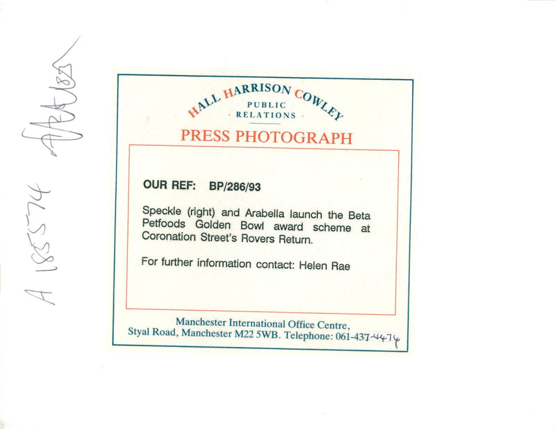 Speckle and arabella launch the beta petfoods golden bowl award. - Vintage Photograph