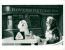Speckle and arabella launch the beta petfoods golden bowl award. - Vintage Photograph
