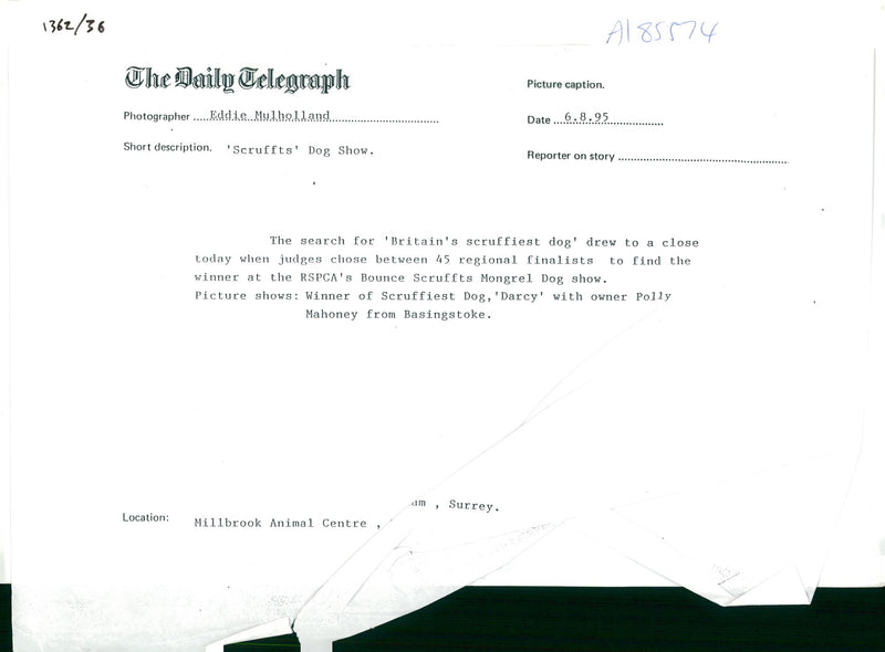 Winner of scruffiest dog darcy with owner polly. - Vintage Photograph