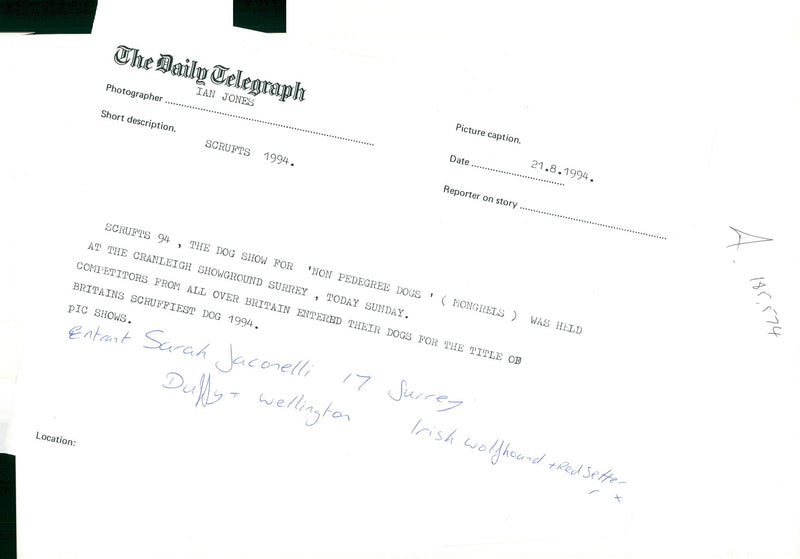 Dogs with Sarah jaconelli. - Vintage Photograph