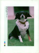 The lucky 10 year old - Vintage Photograph