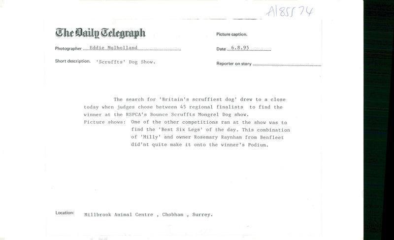 Dog and Rosemary raynham. - Vintage Photograph