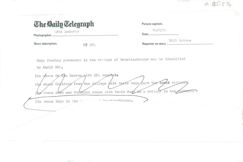 Dog with children. - Vintage Photograph