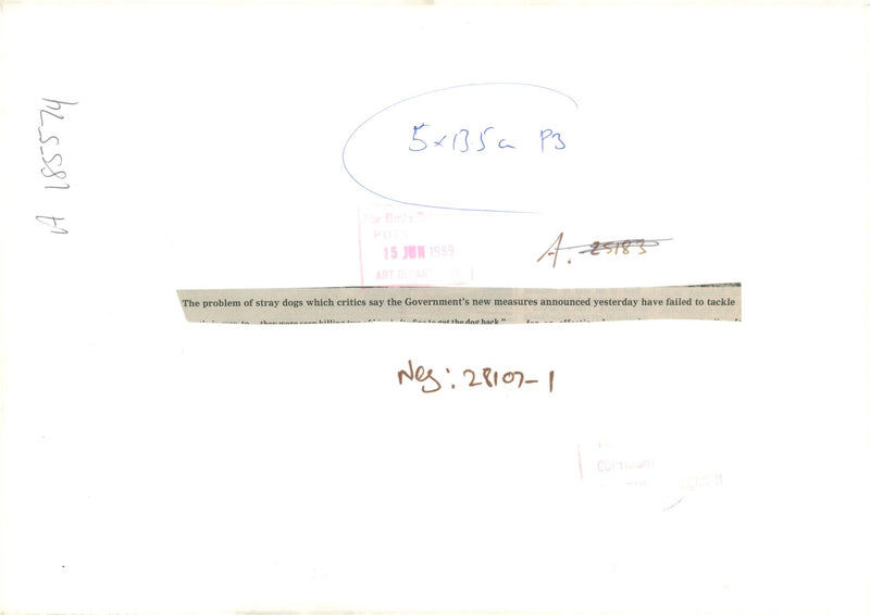 The problem of stray dogs which critics say the governments. - Vintage Photograph