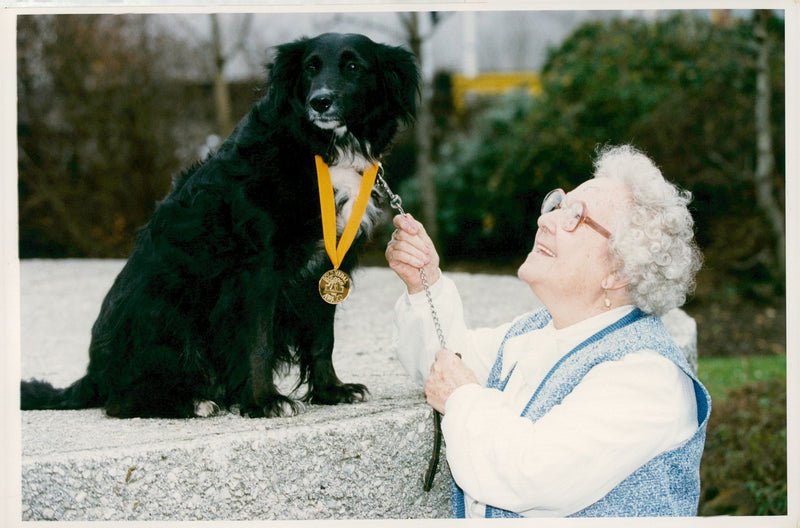Pro dog award. - Vintage Photograph