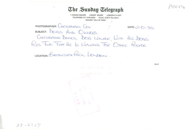 Dogs with christopher davies. - Vintage Photograph