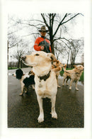Dogs with christopher davies. - Vintage Photograph