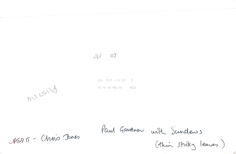 Flowers - Vintage Photograph