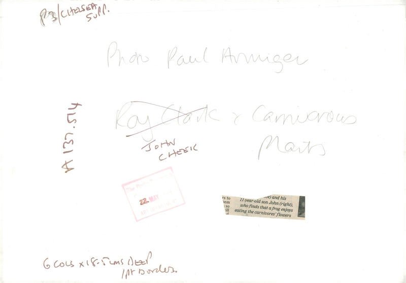 Flowers - Vintage Photograph