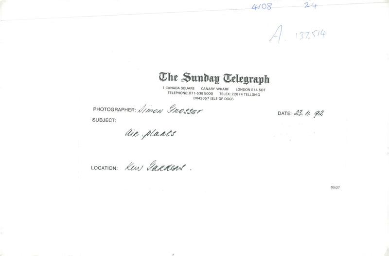 Flowers - Vintage Photograph