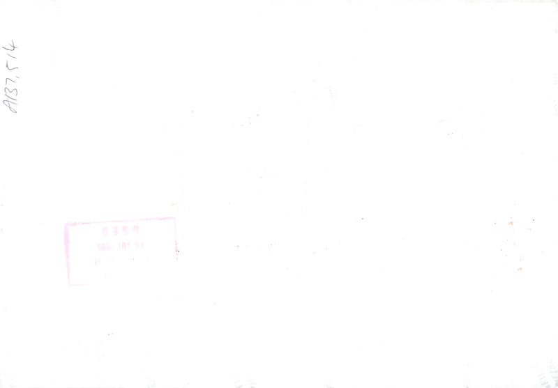 Flower Show - Vintage Photograph