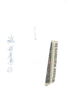 Snowdrop. - Vintage Photograph