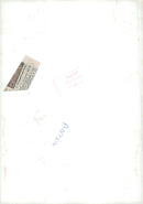 Christophii Seed Head. - Vintage Photograph