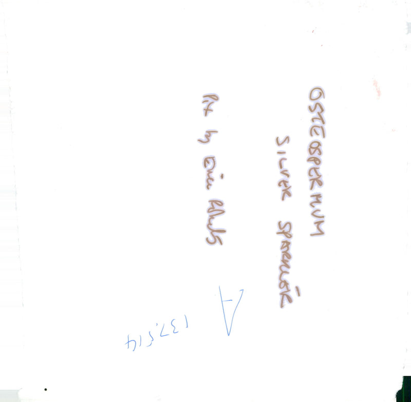 African daisies. - Vintage Photograph