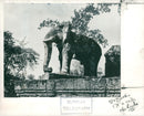 Cambodia - Vintage Photograph