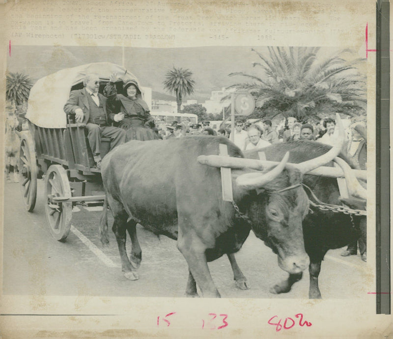 Boer War And Great War. - Vintage Photograph