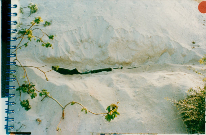 A Shotgun used in challenger yacht murders. - Vintage Photograph