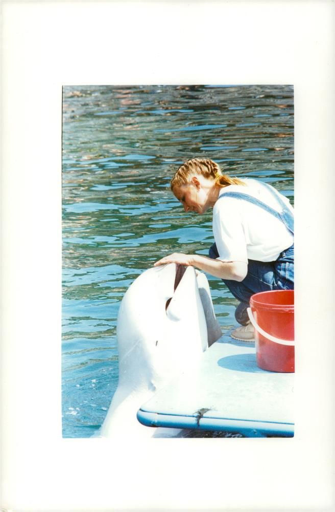 animal whales - Vintage Photograph