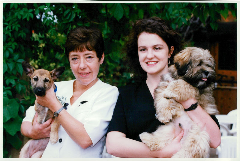 intervet animal nurse of the year - Vintage Photograph