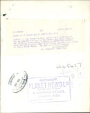 Dogs: Welsh Terrier - Vintage Photograph