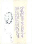 Dogs: Welsh Terrier - Vintage Photograph