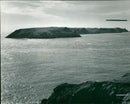 Nature conservancy to acquire skomer island. - Vintage Photograph