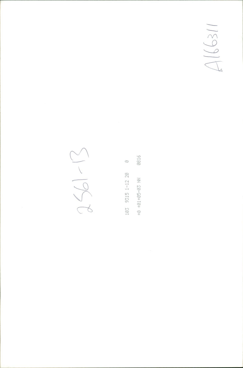 Young musician - Vintage Photograph