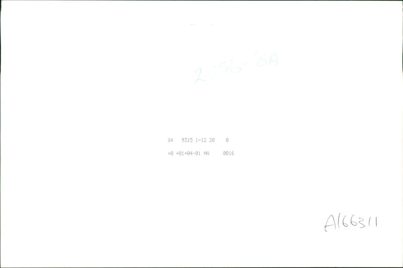 Young musician - Vintage Photograph