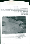 Arkan with his bride singer Ceca - Vintage Photograph