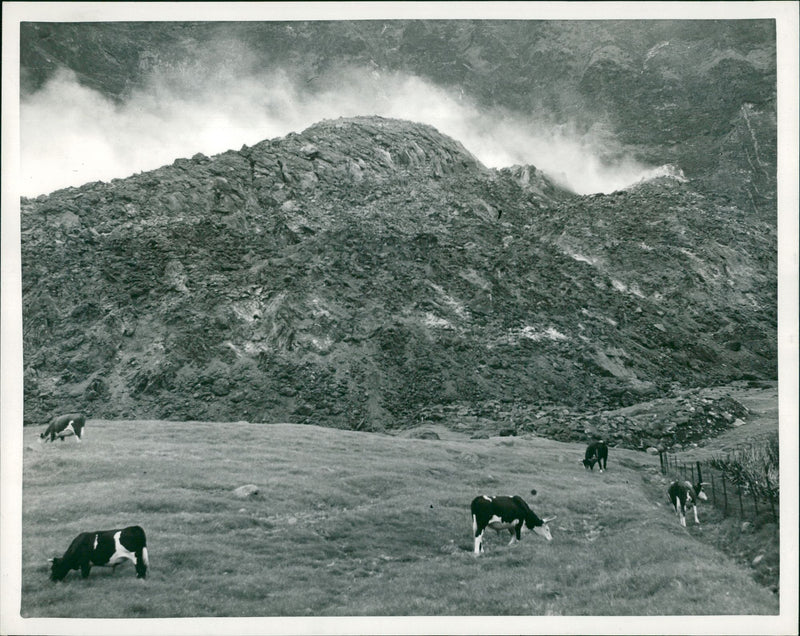 The royal society expedition to tristan da cunha. - Vintage Photograph