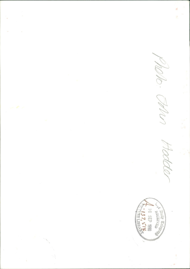 Flower : - Vintage Photograph