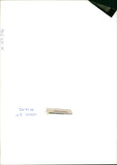 Flower : tropicla newton. - Vintage Photograph