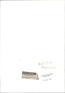 Flower : meconopsis. - Vintage Photograph