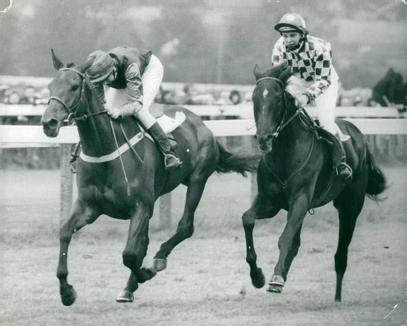 Meriel Tufnell on Scorched Earth wins before Jennifer Barons at the Headmaster at Derby on Folkestone - Vintage Photograph