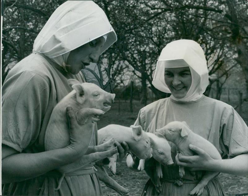 Surrey: Godalming: Nuns of Ladywell Convent. - Vintage Photograph