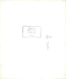 'The dispersal of emotion through landscape'. - Vintage Photograph