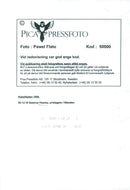 Nobel Peace 1995. Seamus Heaney, Literature Prize winner - Vintage Photograph