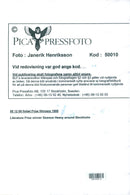 Seamus Heaney, Nobel laureate in literature 1995 - Vintage Photograph