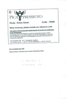 Seamus Heaney, Nobel laureate in literature 1995 - Vintage Photograph